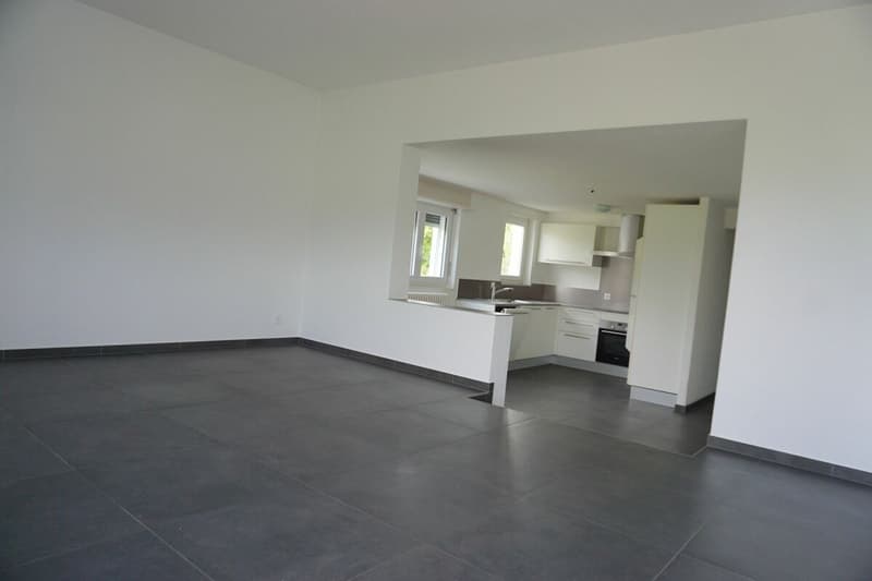 ARI-236 - Très belle maison de 2 appartements de 4,5 et 3,5 pièces sur une parcelle de 1'134 m2. (12)