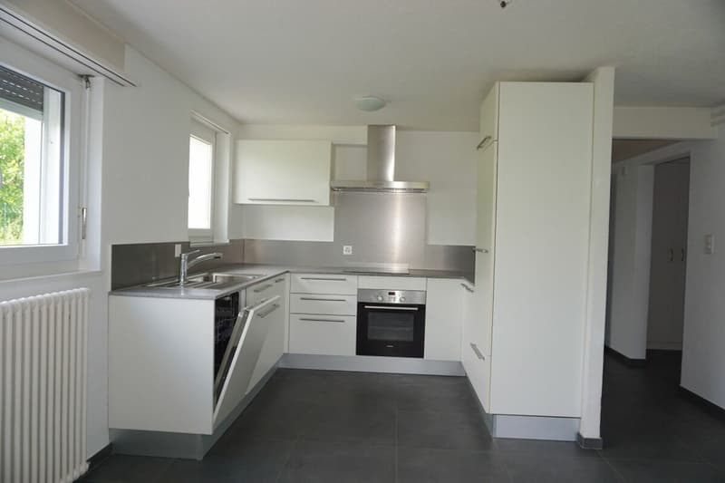ARI-236 - Très belle maison de 2 appartements de 4,5 et 3,5 pièces sur une parcelle de 1'134 m2. (11)