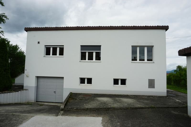 ARI-236 - Très belle maison de 2 appartements de 4,5 et 3,5 pièces sur une parcelle de 1'134 m2. (4)