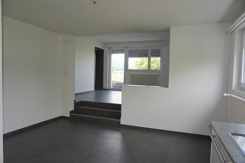 ARI-236 - Très belle maison de 2 appartements de 4,5 et 3,5 pièces sur une parcelle de 1'134 m2. (13)