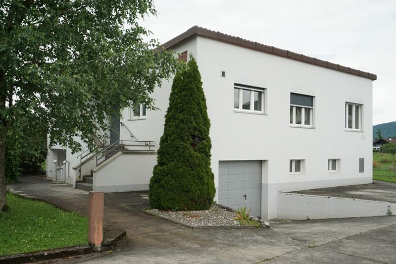 ARI-236 - Très belle maison de 2 appartements de 4,5 et 3,5 pièces sur une parcelle de 1'134 m2. (1)