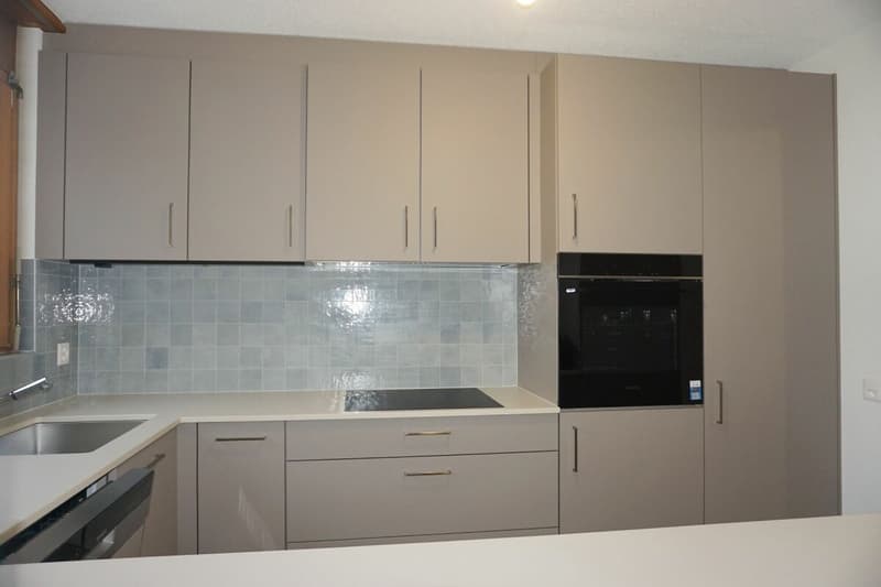 ARI-249 Magnifique appartement rénové de 4,5 pièces avec parking (5)