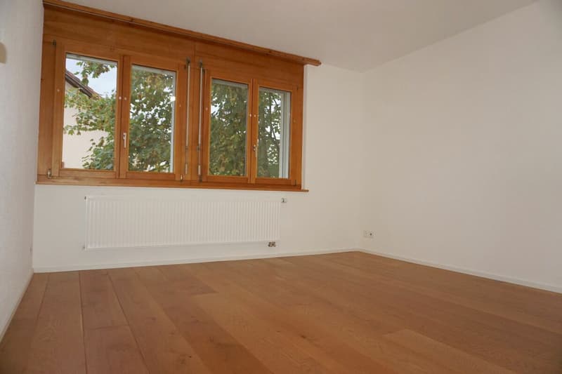 ARI-249 Magnifique appartement rénové de 4,5 pièces avec parking (9)