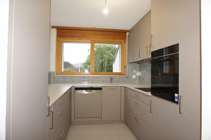 ARI-249 Magnifique appartement rénové de 4,5 pièces avec parking (4)