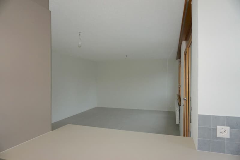 ARI-249 Magnifique appartement rénové de 4,5 pièces avec parking (6)
