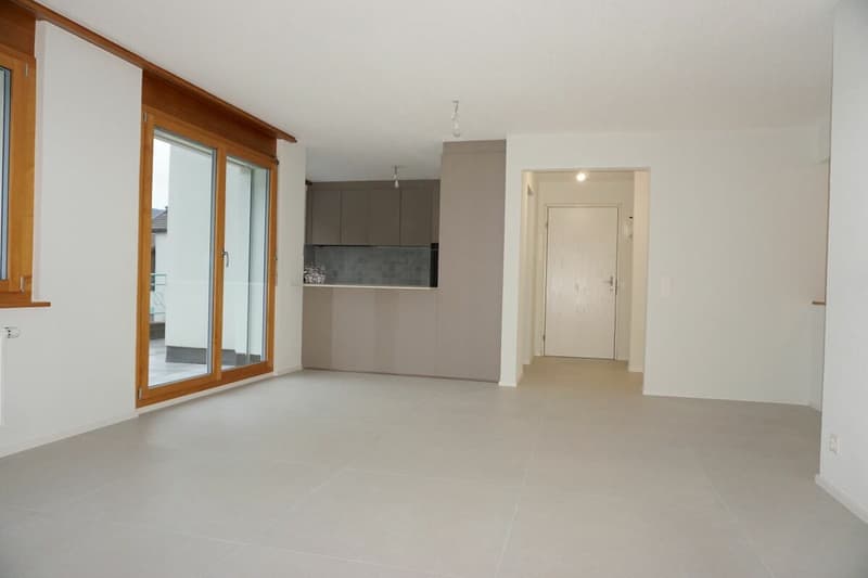 ARI-249 Magnifique appartement rénové de 4,5 pièces avec parking (2)