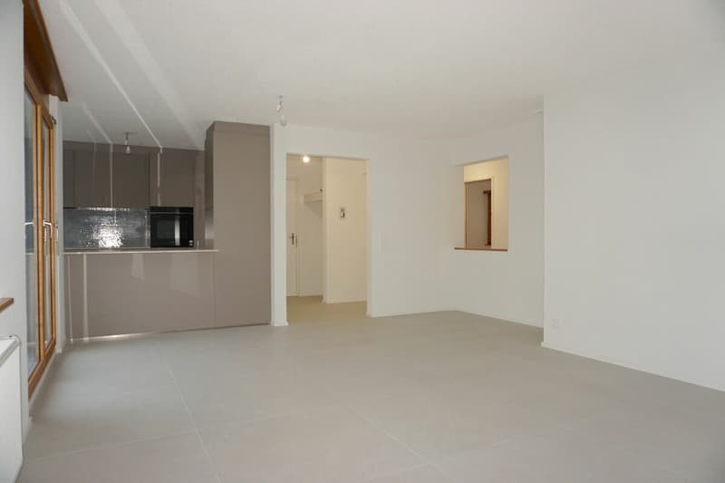 ARI-249 Magnifique appartement rénové de 4,5 pièces avec parking (1)