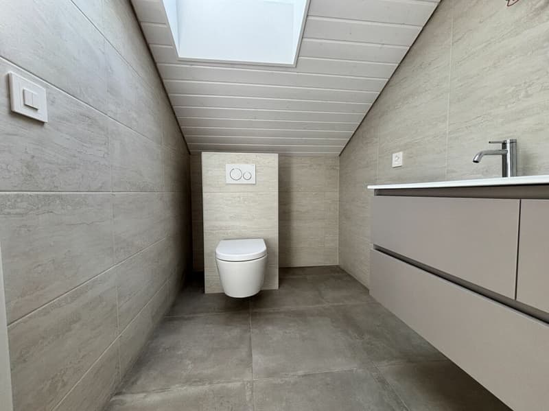 Magnifique appartement neuf, en attique avec vue lac (12)