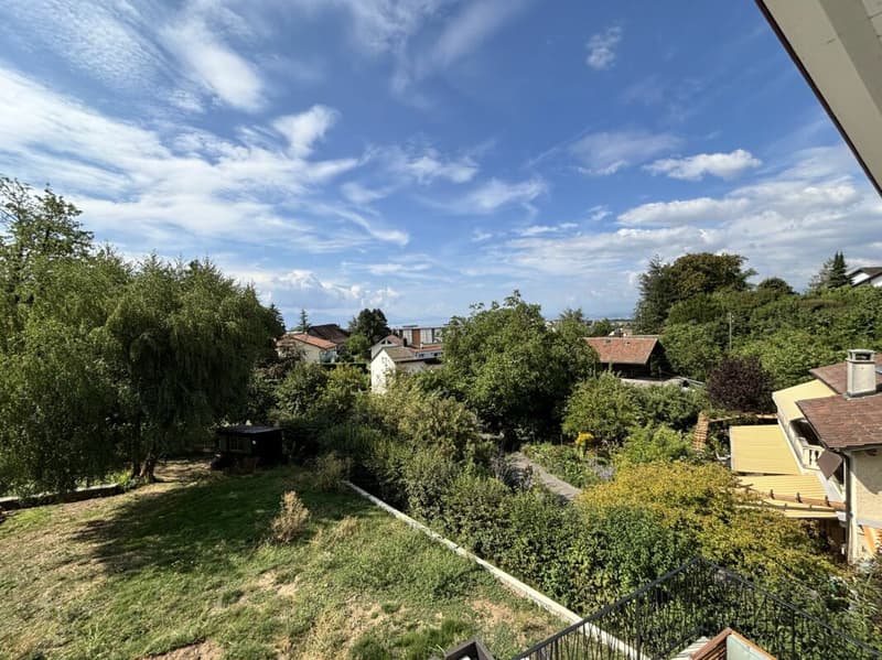 Magnifique appartement neuf, en attique avec vue lac (13)