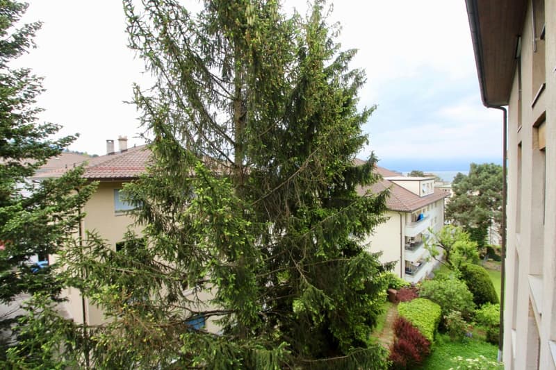 Appartement de 2.5 pièces bien situé à Pully (11)
