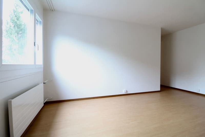 Appartement de 2.5 pièces bien situé à Pully (9)