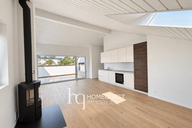 Magnifique appartement neuf, en attique avec vue lac (2)