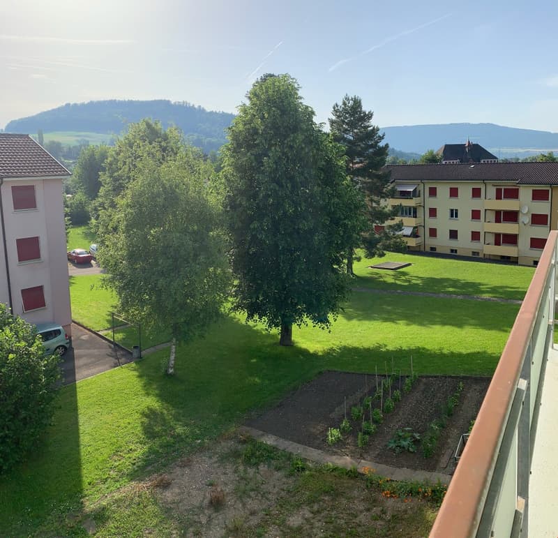 The image shows a view from a balcony or terrace of an apartment building. The building is surrounded by lush greenery, including a large tree in the foreground and other trees and vegetation. The building has multiple floors and appears to be located in