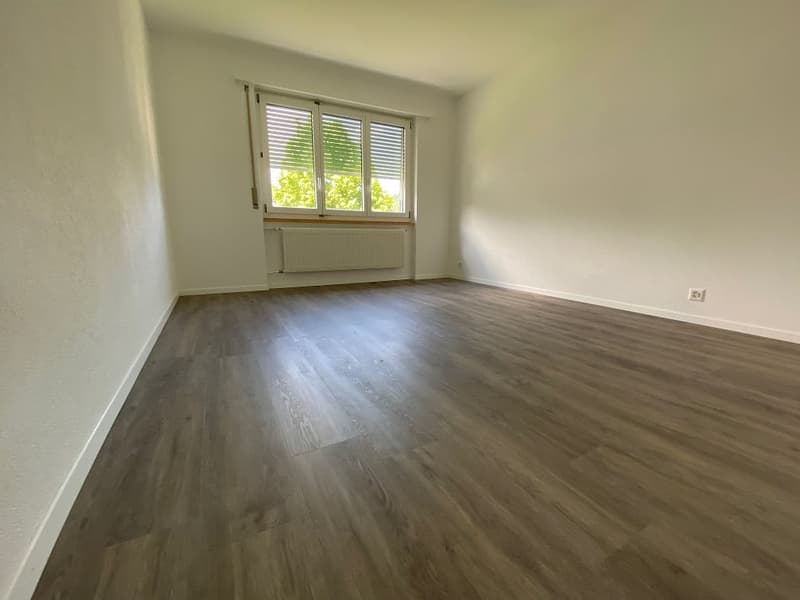 Empty room with white walls, hardwood floors, white radiator, single window with white shutters