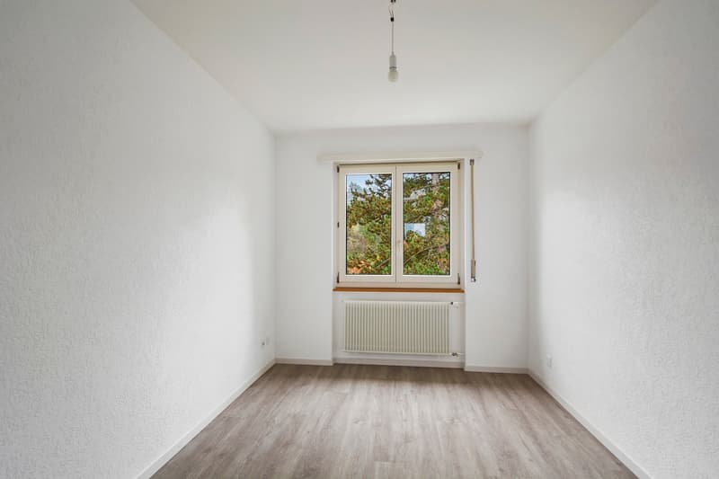 Empty room with white walls, hardwood-style flooring, and a window overlooking trees outside.