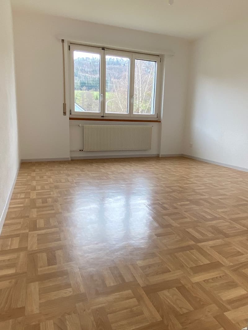 Empty room, wooden wall, white walls, white ceiling, window with a view