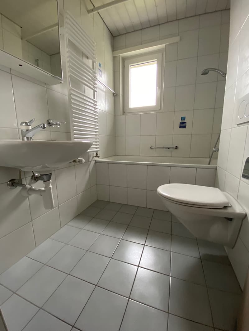 White tiled walls, ceiling and floor, toilet, sink, radiator, window