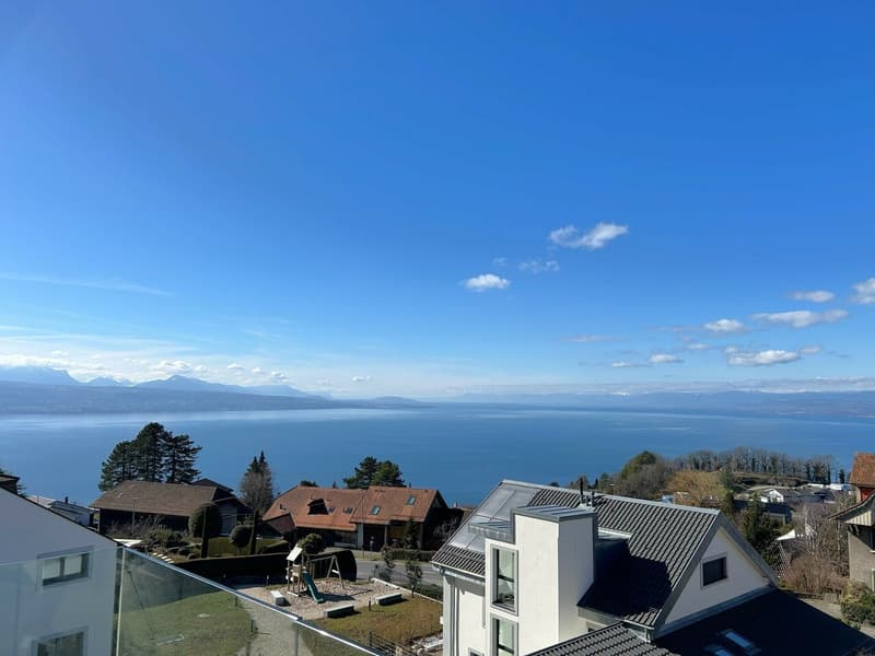 Grande maison avec une vue splendide sur le Lac et les Aples (2)