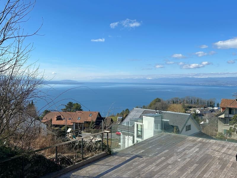 Grande maison avec une vue splendide sur le Lac et les Aples (3)