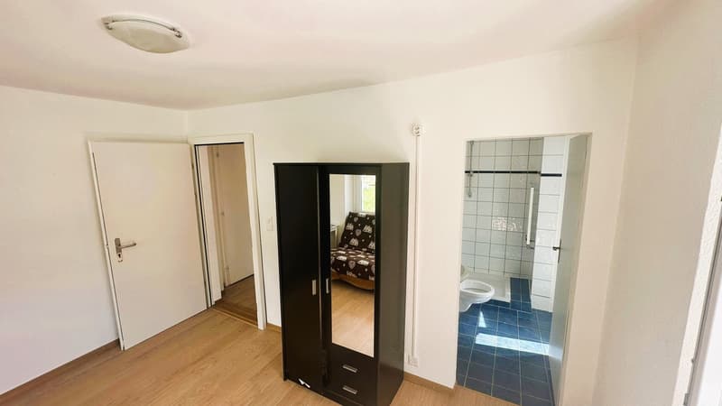 Studio accogliente nel cuore delle Alpi (4)