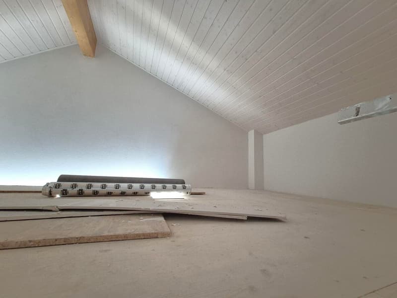 For Sale: 4.5-Room Attic Apartment (7)