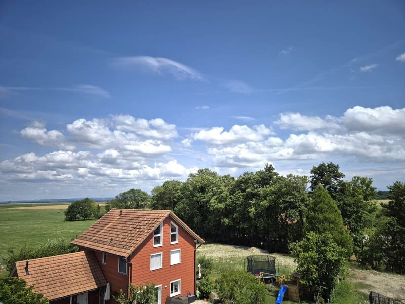 For Sale: 4.5-Room Attic Apartment (9)