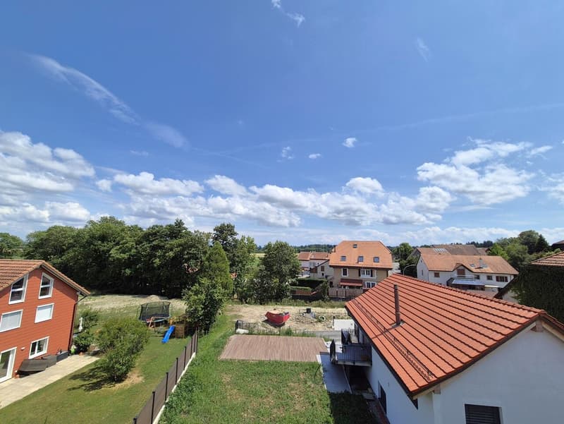 For Sale: 4.5-Room Attic Apartment (8)