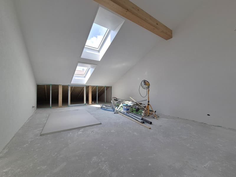For Sale: 4.5-Room Attic Apartment (5)