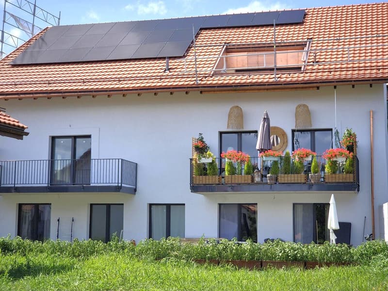 For Sale: 4.5-Room Attic Apartment (3)