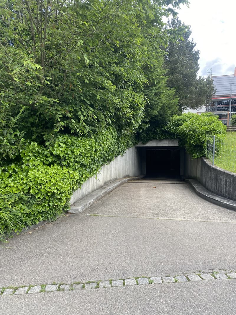 Garageneinfahrt.jpg