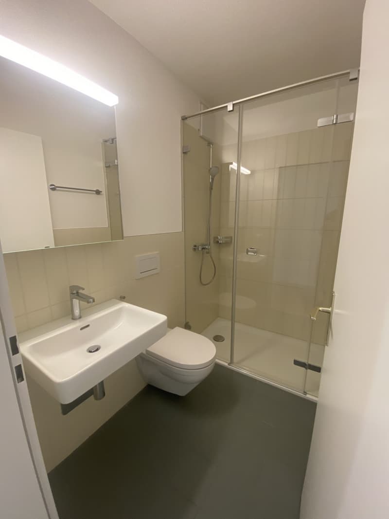 Badezimmer_mit_Dusche.jpg