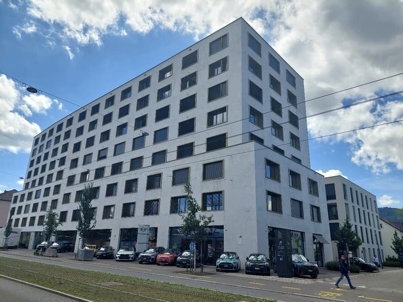 Badenerstrasse 531
