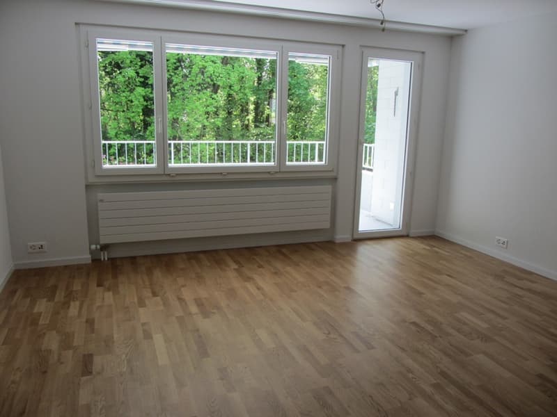 Wohnzimmer mit Balkon zur Limmat