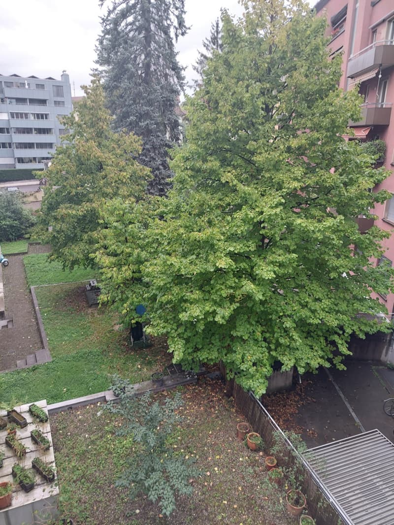 Innenhof