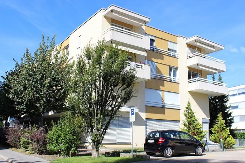 4554_face_sud_ouest08.2016.JPG