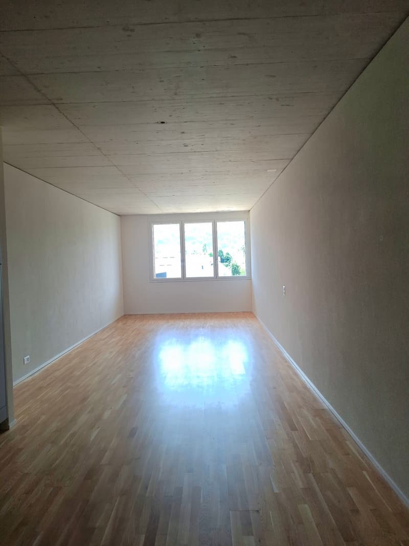 Wohn-, Schlaf- und Esszimmer