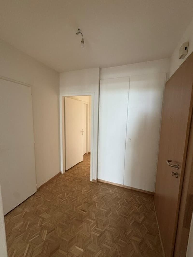 Hall_entree.jpg