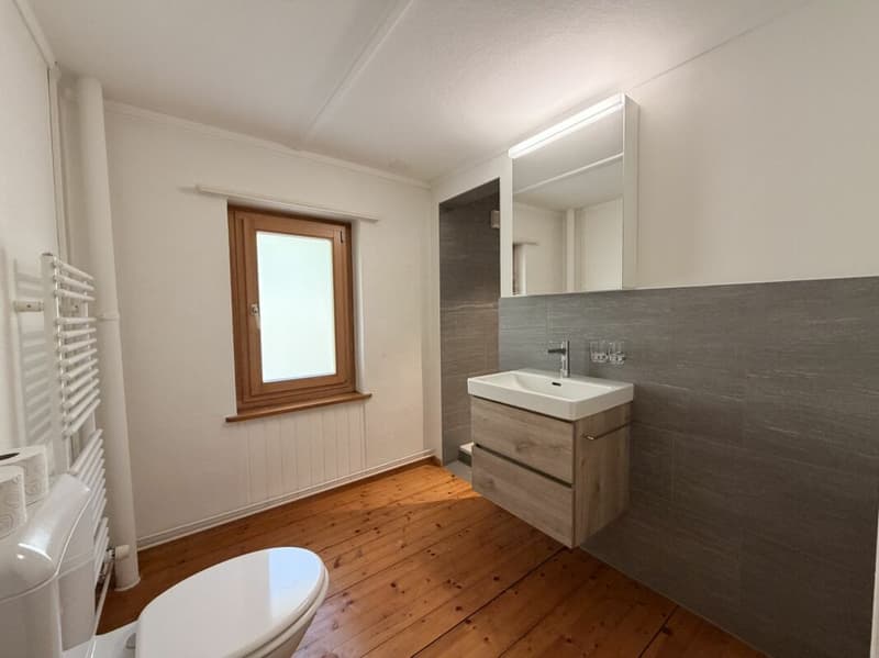Tradition trifft Moderne - 6.5 Zi-EFH mit 3.5 Zi-Einliegerwohnung mit Bergpanorama in Ruschein (4)