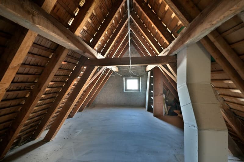Haus Guanella - Historic Villa by Schäfer & Risch in a preferred location in the Loequartier in Chur (6)
