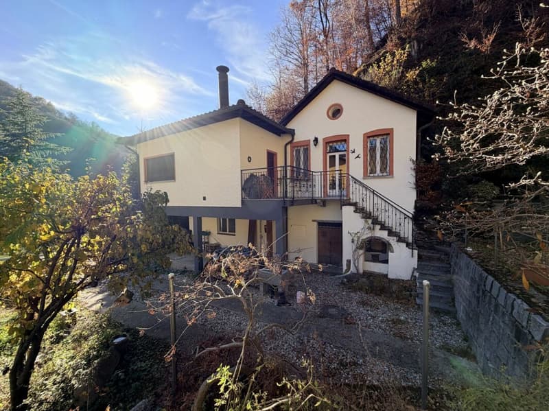 Casa unifamiliare accogliente in posizione idilliaca - con ampio terreno e vicino al bosco (1)