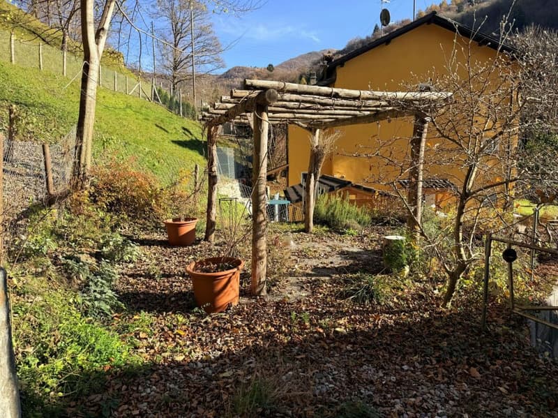 Casa unifamiliare accogliente in posizione idilliaca - con ampio terreno e vicino al bosco (9)