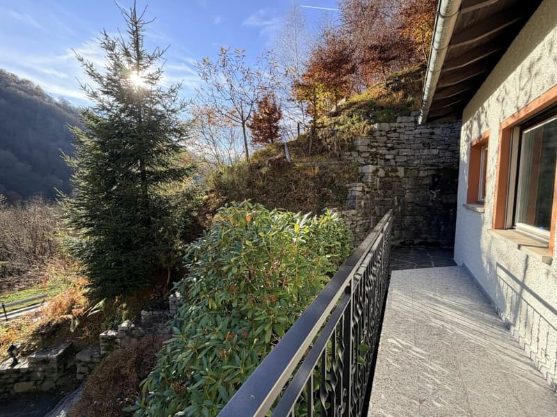 Casa unifamiliare accogliente in posizione idilliaca - con ampio terreno e vicino al bosco (12)