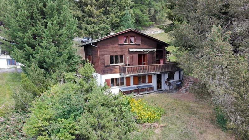 Ferienhaus mit Charme, Ruhe und Weitblick im Domleschg (2)