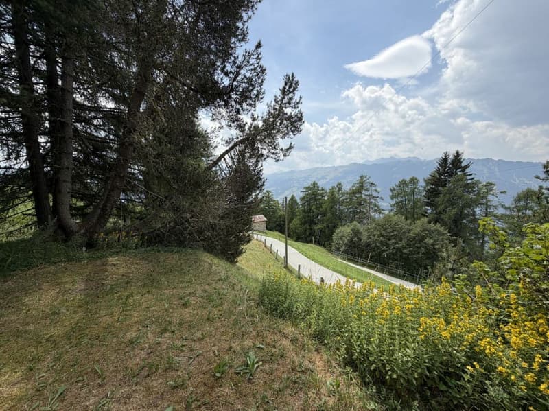 Ferienhaus mit Charme, Ruhe und Weitblick im Domleschg (18)