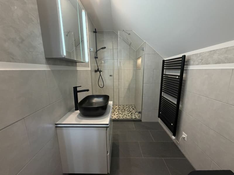 Wohnen auf zwei Ebenen - gepflegte 6.5-Zimmer-Maisonette-Dachwohnung mit Galerie (6)