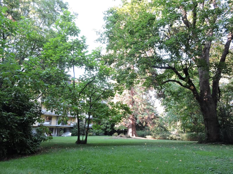 Hinterhof