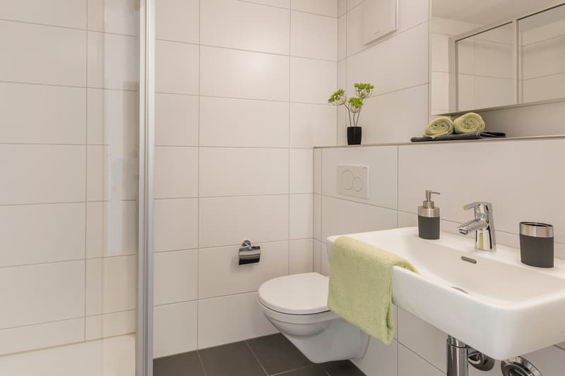 Daettwil_Pilgerstrasse26_4Zi_2OG_Gross_11.jpg