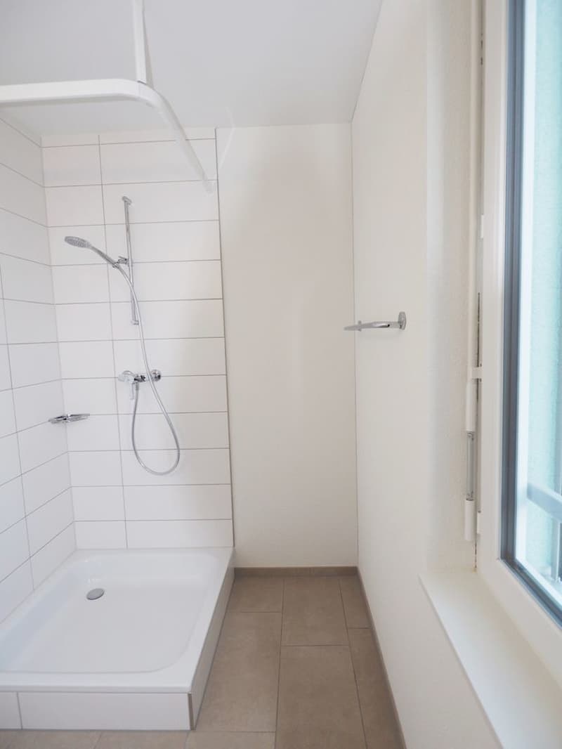 Moderne 3.5 Zimmer-Wohnung mit tollem Grundriss (6)