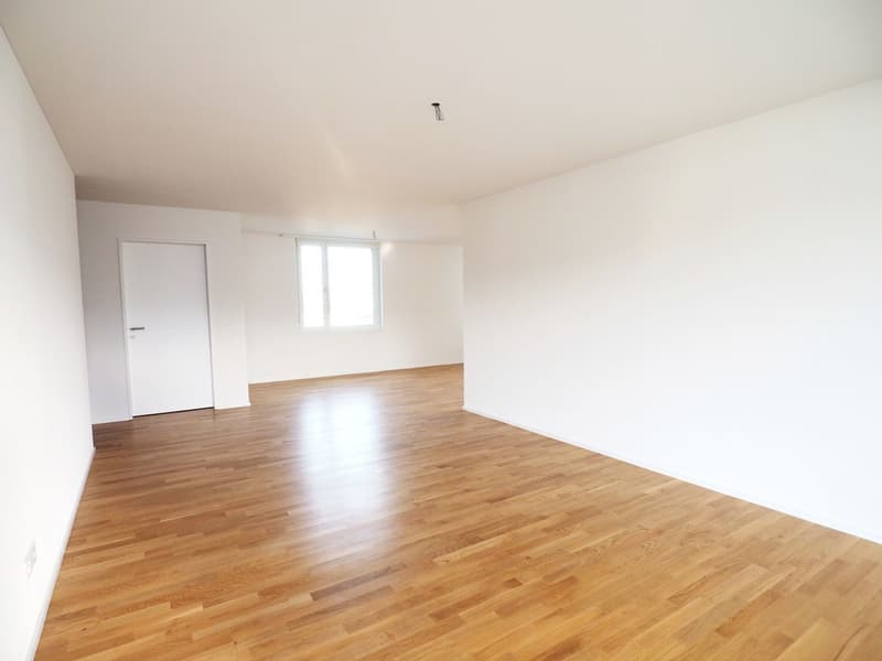 Moderne 3.5 Zimmer-Wohnung mit tollem Grundriss (3)