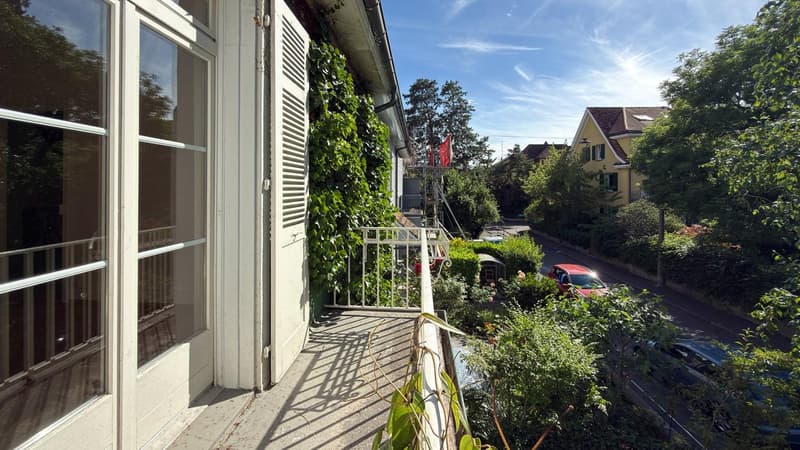 Stilvolles 6-Zimmer-Stadthaus in Basel-St. Johann (11)